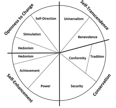 Understanding biosecurity behaviors of Australian beef cattle farmers using the ten basic human values framework